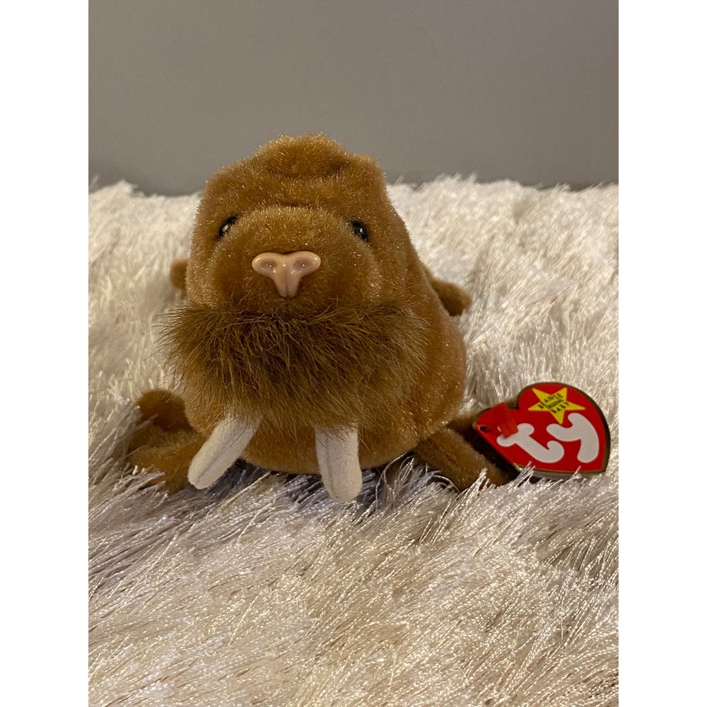 RARE Ty Beanie Baby PAUL the WALRUS with Grammatical Errors! 𐬺❀𖭀❁𐬺✿𖭀❃𐬺